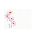 Last inn bilde i gallerivisning, PiPPA Gift Card