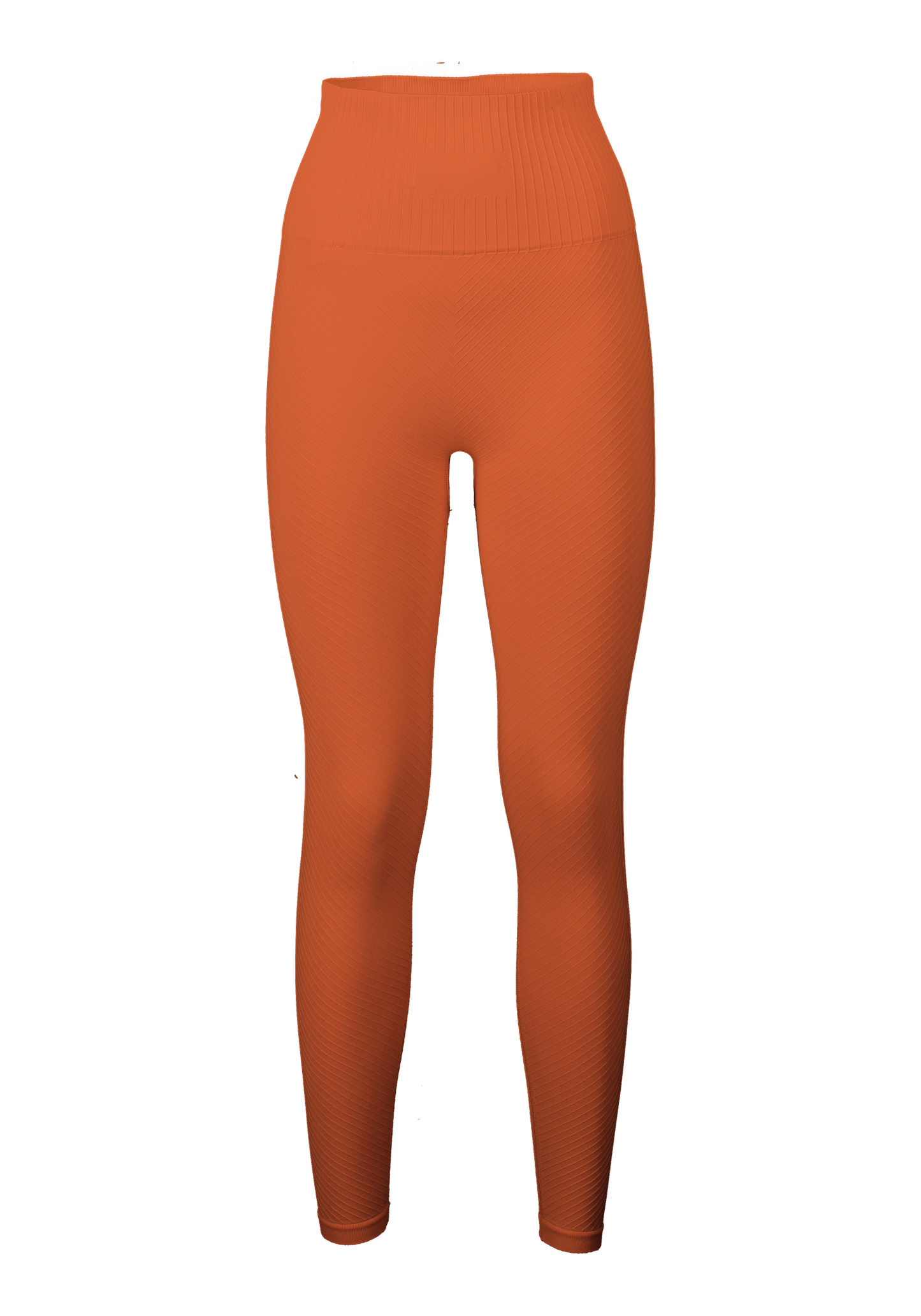 Seamless Graphical Rib Tights