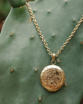 Last inn bilde i gallerivisning, Long necklace with locket, Steel G
