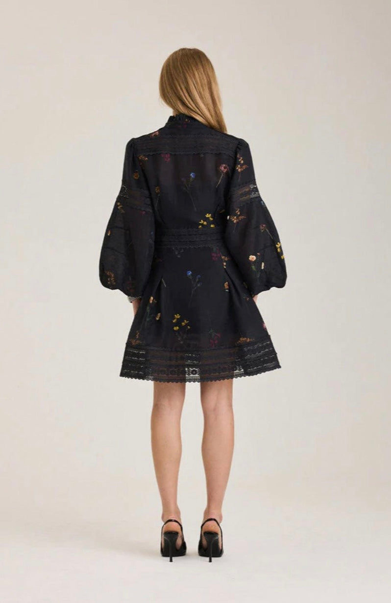 Aliahrv Garden Dress