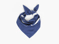 Load image into Gallery viewer, Embla Emblem Silkeskjerf
