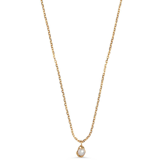 Darla Necklace Pearl Gold